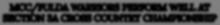 Alt Text for Image