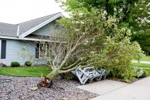 Storm Damage