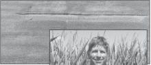 Alt Text for Image