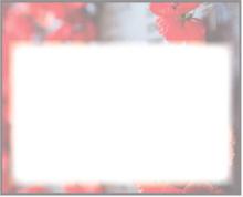 Alt Text for Image