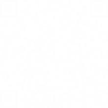 Alt Text for Image