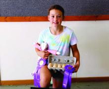 Ainsley Pieske - Clothing - Constructed (Non-Wearable)