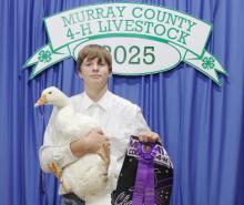 Edwin Nepp – Poultry – Pigeons, Geese, Rabbits – Market, Intermediate Showman