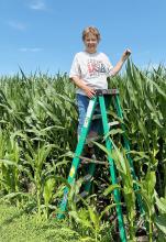 In keeping with Murray County Wheel/Herald tradition, we sent the kids out into the field to see how the corn is doing. With Karen Beers up on a ladder, the corn was still more than knee high this 4th of July.