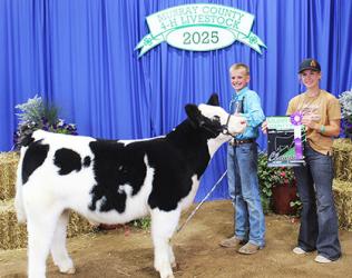 Tyce Holm – Beef – Small Calf, Prospect Calf, Junior Showman, Goat – Meat Breeding Doe