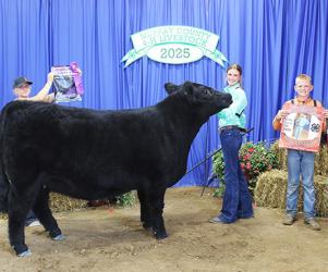 Jorja Holm – Beef - Breeding Heifer, Intermediate Showman