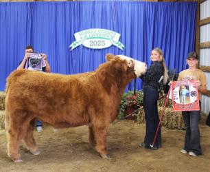 Danica Prins – Beef-Steer, Overall Market Beef