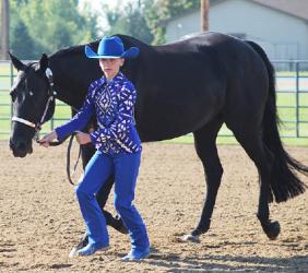 Quinn Royer – Horse – High Point Novice Performance