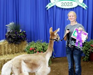 Kendra Gleis – Llama/Alpaca – Senior Showmanship, Senior Costume, Plastic Sculpture Challenge, Indoor Gardening