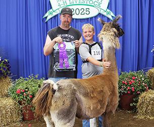 Colton Gunnink – Llama/Alpaca – Junior Showmanship
