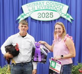 Alex Heard – Poultry – Overall, Chickens