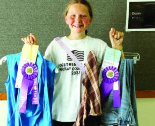 Annika Kopperud - Clothing - Purchased, Constructed, Fashion Revue Court of Honor Constructed