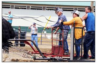 Murray County Classic  Draft Horse Show Slayton, Minnesota