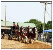 Murray County Classic  Draft Horse Show Slayton, Minnesota