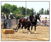 Murray County Classic  Draft Horse Show Slayton, Minnesota