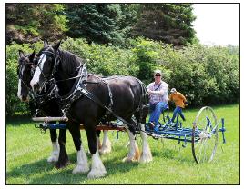 Murray County Classic  Draft Horse Show Slayton, Minnesota