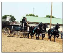Murray County Classic  Draft Horse Show Slayton, Minnesota