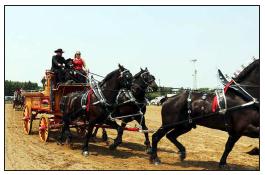 Murray County Classic  Draft Horse Show Slayton, Minnesota