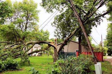Storm Damage