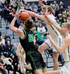 Tristan Behrends