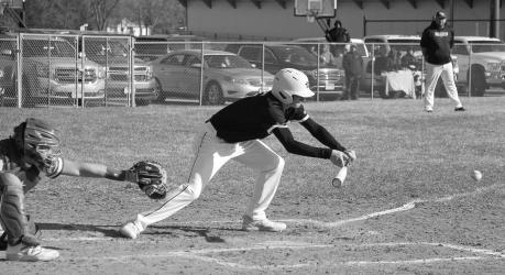 Tristan Behrends