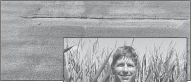 Alt Text for Image