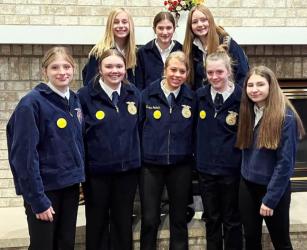 Horse Judging Team