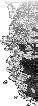 Alt Text for Image