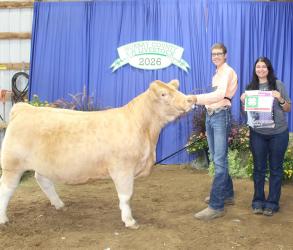 Tyler Reith – Beef – Market Steer, Photography Overall, 9+ Photography - Elements, Photography-Manipulation