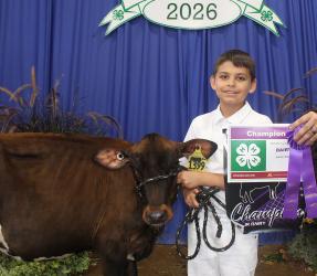 Brooks Kidman – Dairy – Small Calf