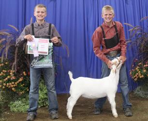 Tyce Holm - Goat-Junior Showman (Meat)