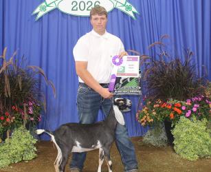 Trenton Heard – Goat - Senior Showman (Dairy), Poultry - Overall, Poultry - Chickens