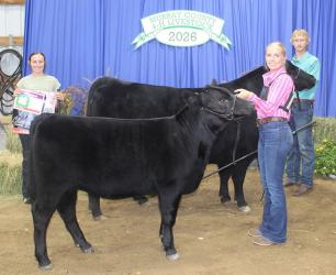 Jorja Holm – Beef – Breeding Heifer, Beef – Intermediate Showman