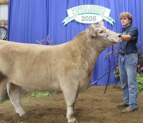 Lawton Verlinde – Beef – Senior Showman