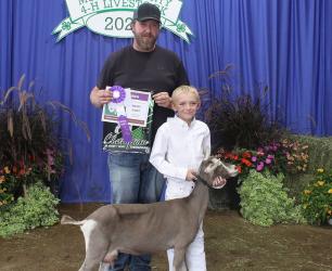 Easton Gunnink - Goat-Junior Showman (Dairy), Llama/Alpaca - Jr. Showmanship, Llama/Alpaca - Jr. Obstacle Course/Public Relations, Llama/Alpaca Jr.- Costume