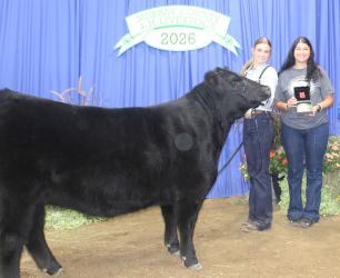 Haylee Jolitz – Beef – Cow Calf Pair