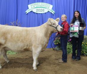 Lincoln Holm – Beef – Junior Showman