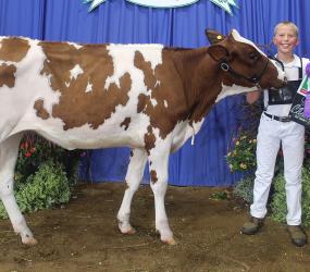 Tyson Rylaarsdam – Dairy – Intermediate Showman