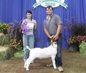 Tyler Kruse - Goat - Market, Goat-Senior Showman (Meat)