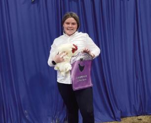 Olivia Heard - Poultry - Overall, Chickens