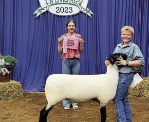Eli Baumgartner - Sheep - Breeding Ewe