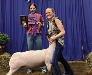 Larissa Hoekman - Sheep - Market Lamb, Senior Showman