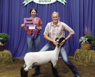 Leah Carter - Sheep - Lottery Lamb, Indoor Gardening