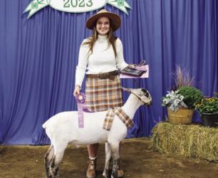 Jayda Hellewell - Sheep - Lamb Lead - Senior, Fashion Revue Court of Honor - Purchased, Photography - Overall, Elements, Public Presentation