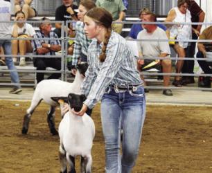 Natasha Wahl - Sheep - Intermediate Showman