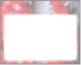 Alt Text for Image