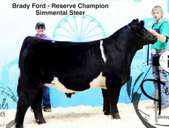 Brady Ford - Reserve Champion Simmental Steer