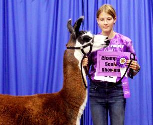 Jensen Grogan - Horse High Point Novice Games