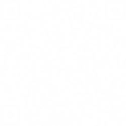Alt Text for Image