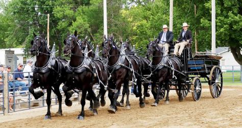 Local Tradition Continues Representing the hometown crowd was Joe Biren with JRBiren’s Belgians. What began as a family tradition in the early 1970s continues today, as the Biren family celebrates more than 50 years in the draft horse industry. Today, the second and